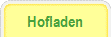 Holunder